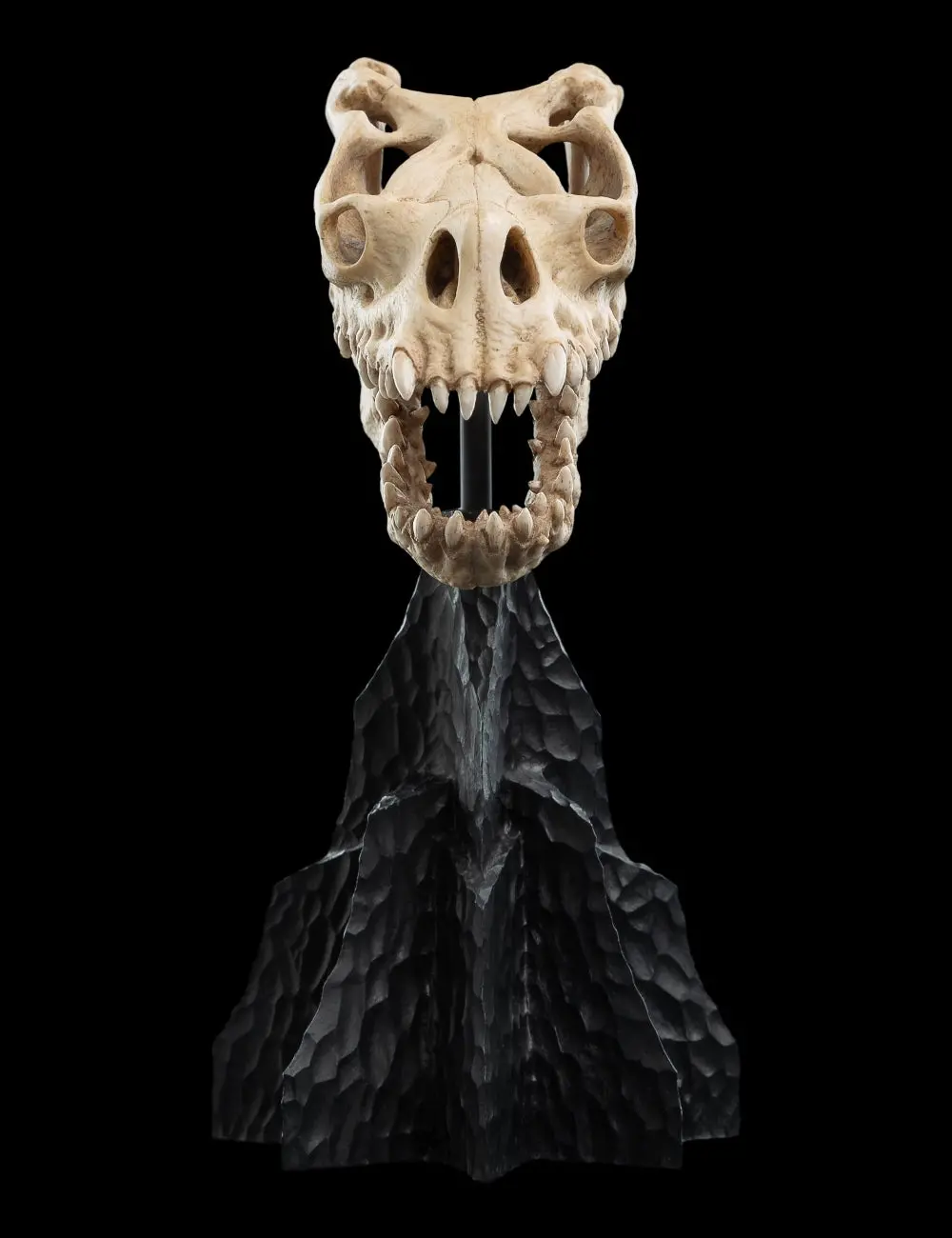 Lord Of The Rings: Skull Of A Fell Beast Miniature Skull 1