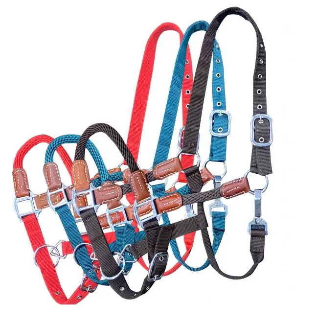 Showman ® Nylon Halter With Nylon Rope Nose And Cheeks With Leather Accents. 1