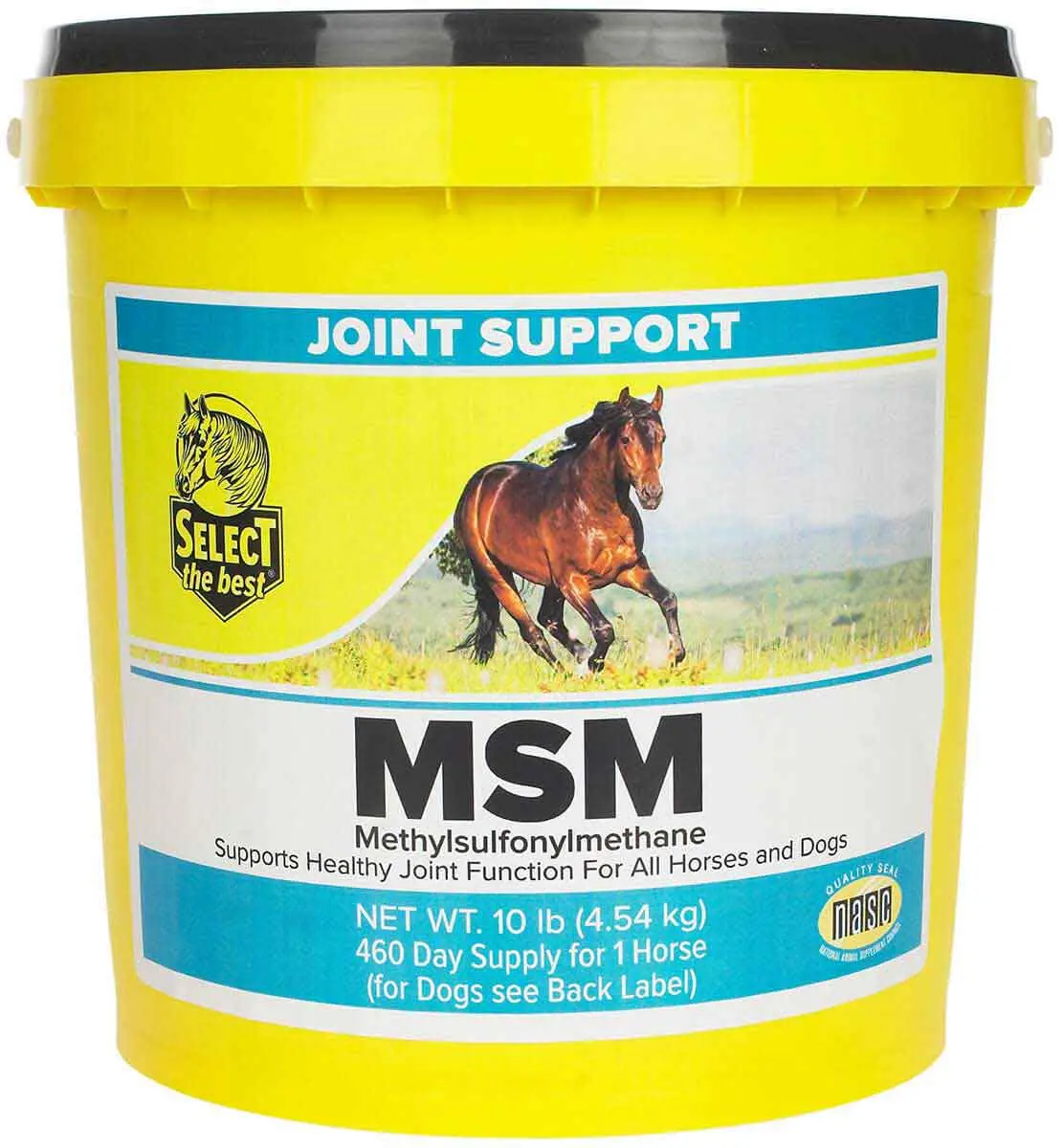 Msm Joint Support 1