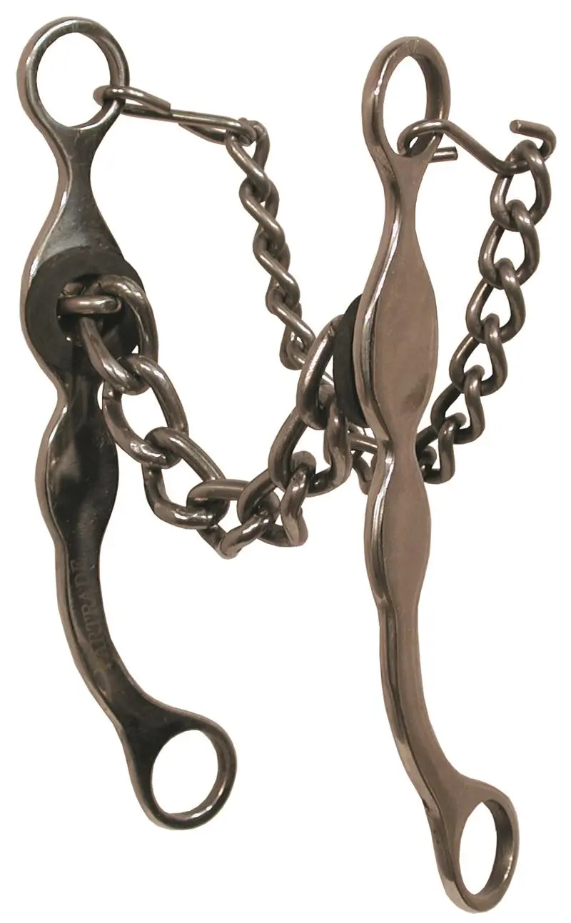 Ss Roping Bit W Curb Chain 1