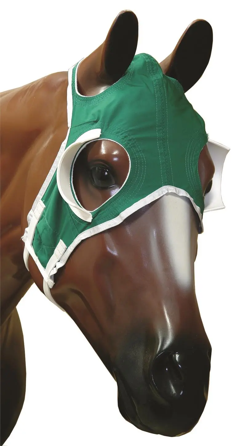 Blinkers, French Cup 1