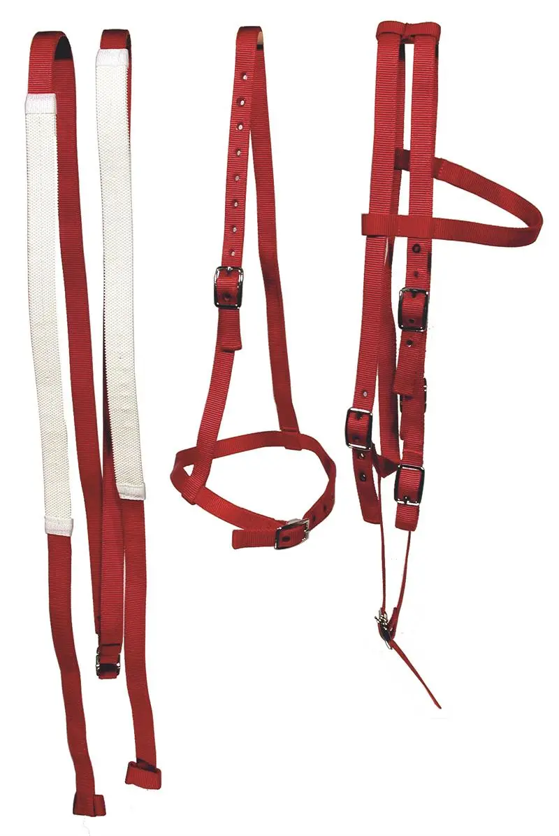Race Bridle Set (Bridle, Caveson & Reins) - Blue 1