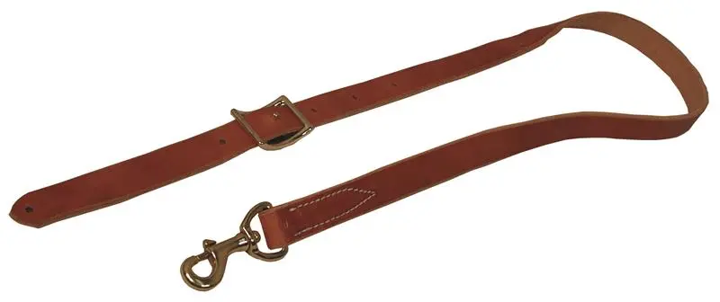 Tiedown Harness Leather 3/4" 1