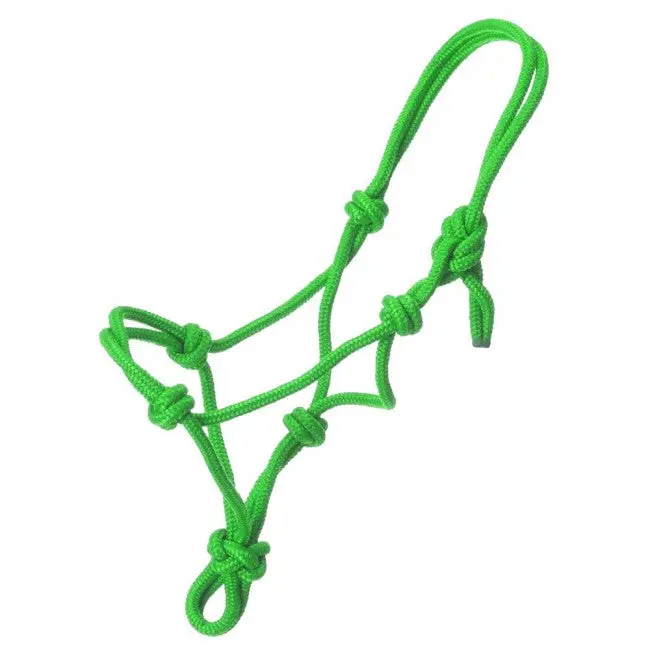 Green - Miniature Poly Rope Tied Halter 1