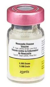 Newcastle Disease Vaccine Lasota 5,000 Dose 1