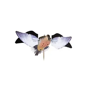 Avian-X Powerflight Robo Dove Decoy 1