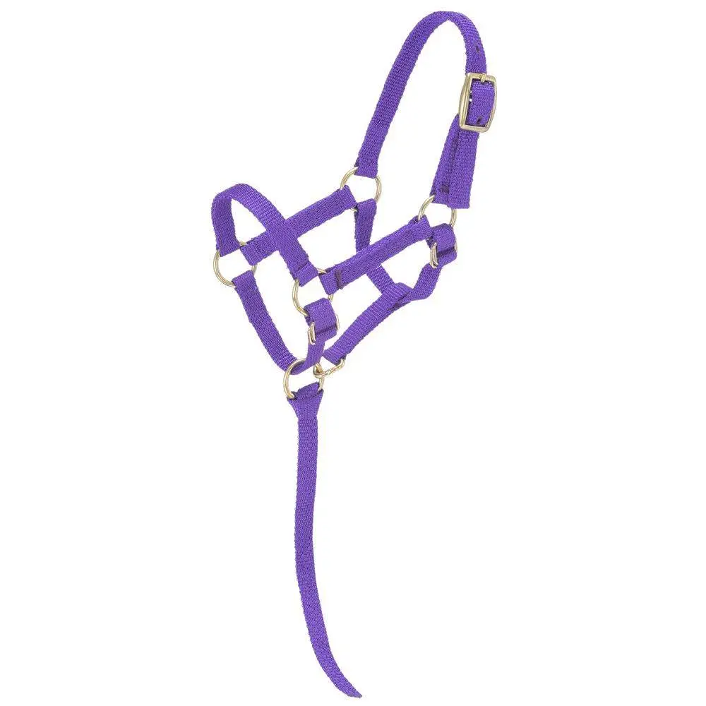 Tough1 Miniature Nylon Halter - Large - Purple 1