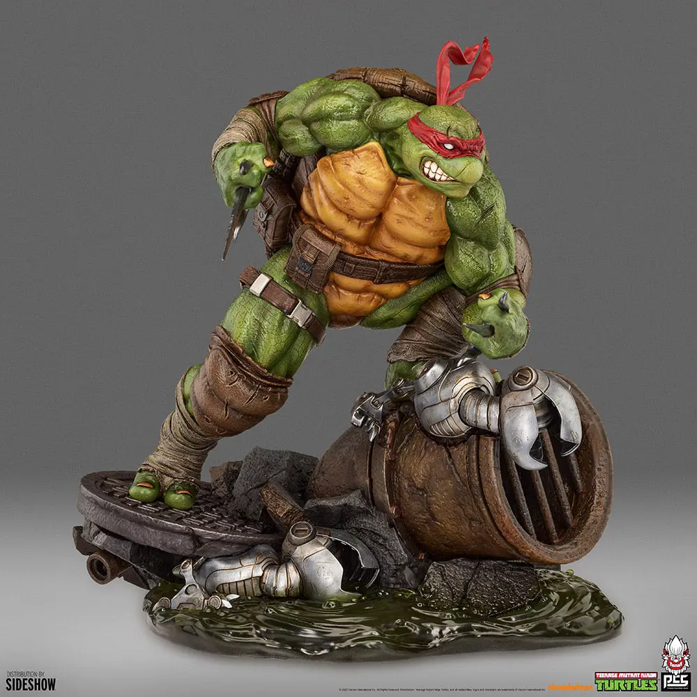 Teenage Mutant Ninja Turtles Legends: Raphael 1