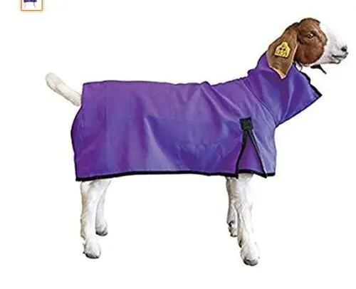 Goat Blanket Purple Sm 1