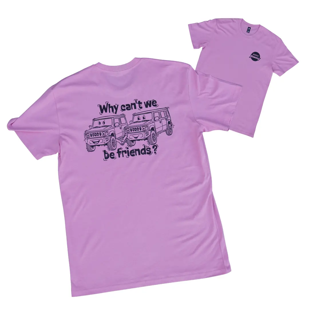 'Why Can't We Be Friends?' Pink Shirt 1