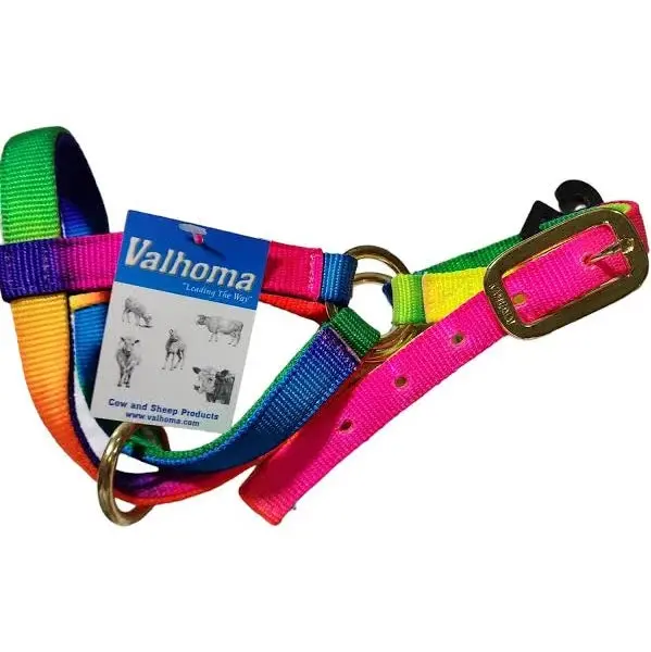 Sheep Halter W/Lead - Rainbow 1