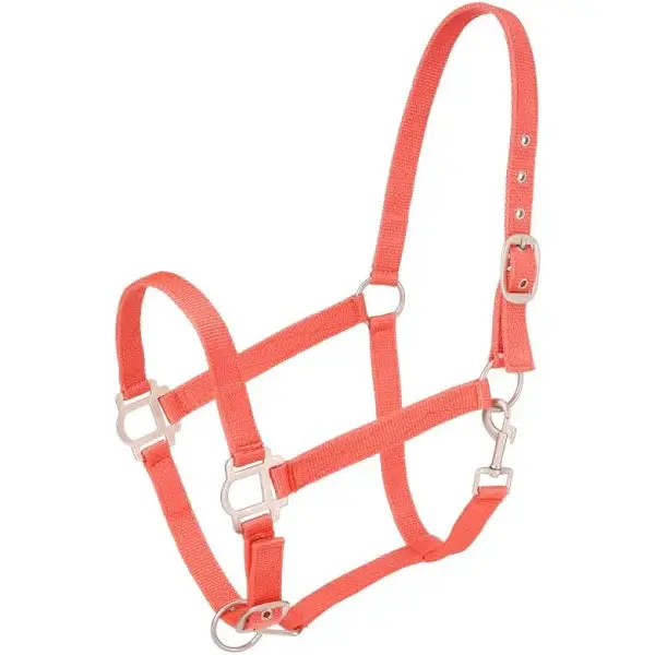 Orange Economy Nylon Halter Yearling 1