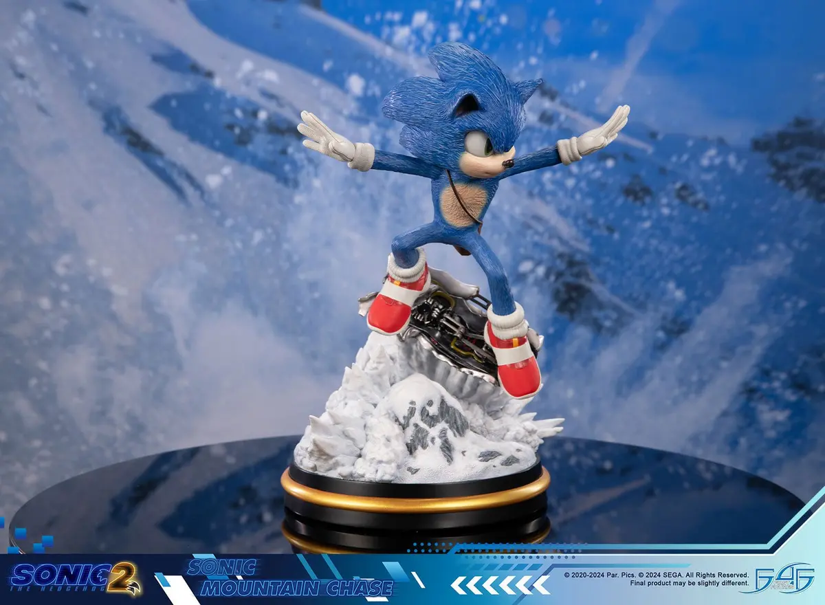 Sonic The Hedgehog 2: Sonic Mountain Chase 2