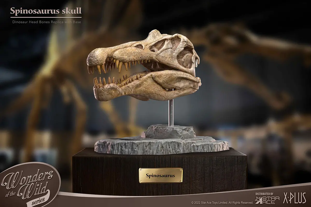 Wonders Of The Wild: Spinosaurus Head Skull 1