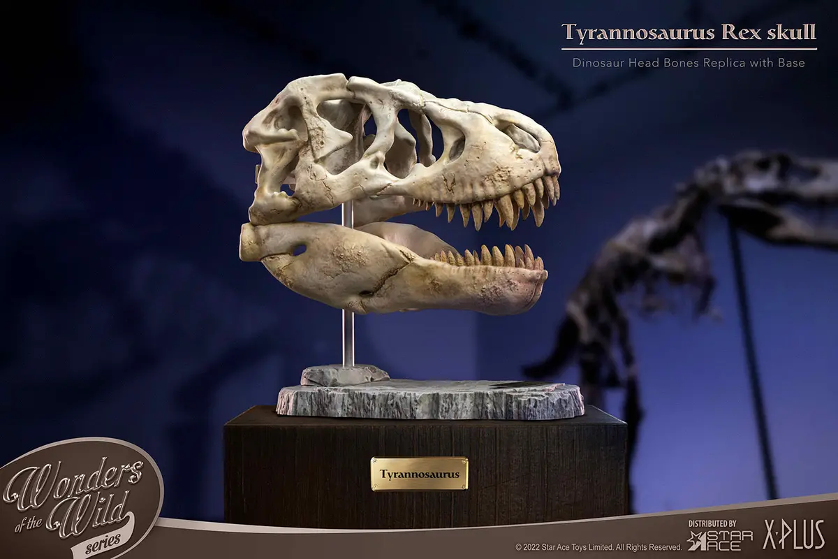 Wonders Of The Wild: T-Rex Head Skull (Pre-Order) 1