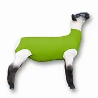 Neon Green- Sheep Sox Spandex Md 1