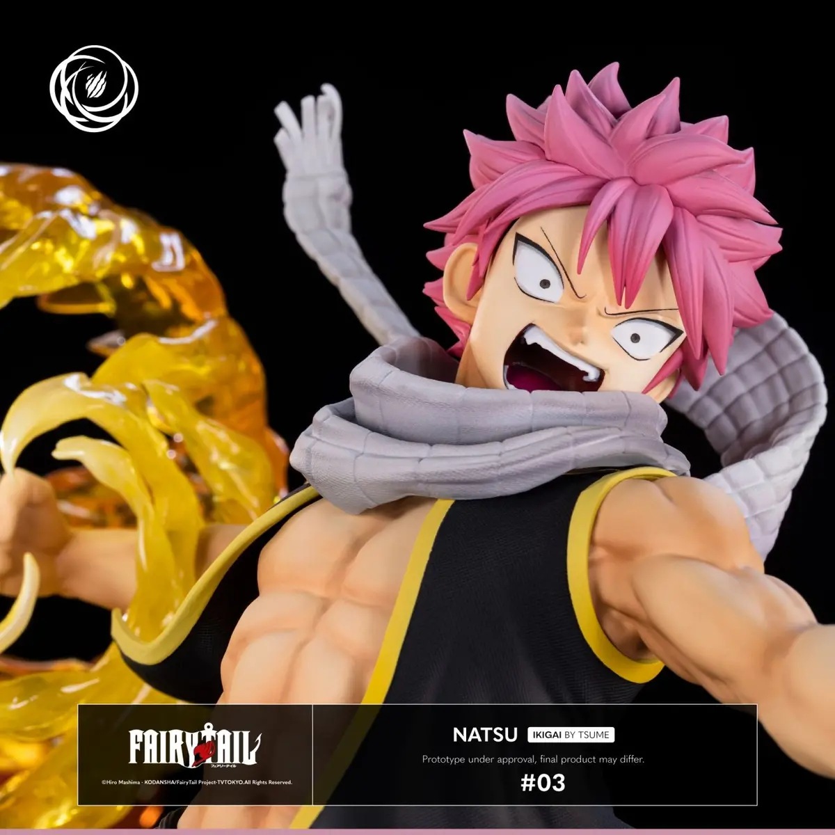 Fairy Tail: Natsu Dragneel Ikigai 1