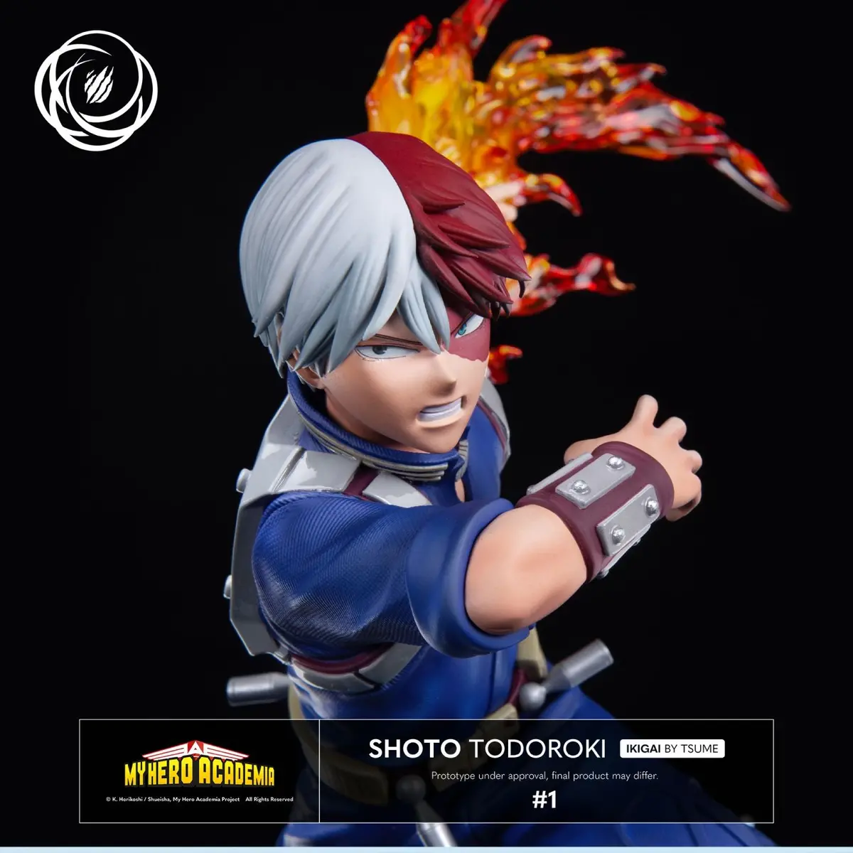 My Hero Academia: Shoto Todoroki Ikigai 1