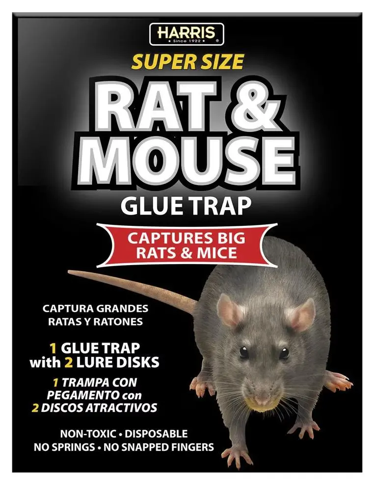 Black Rat Glue Trap Boad 1
