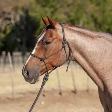 Econo Rope Halter And 8-Foot Leadrope - Tan 1