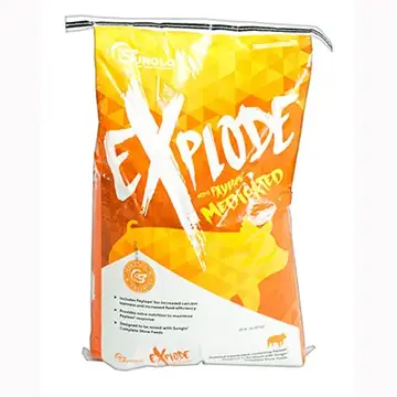 Explode™ By Sunglo 1